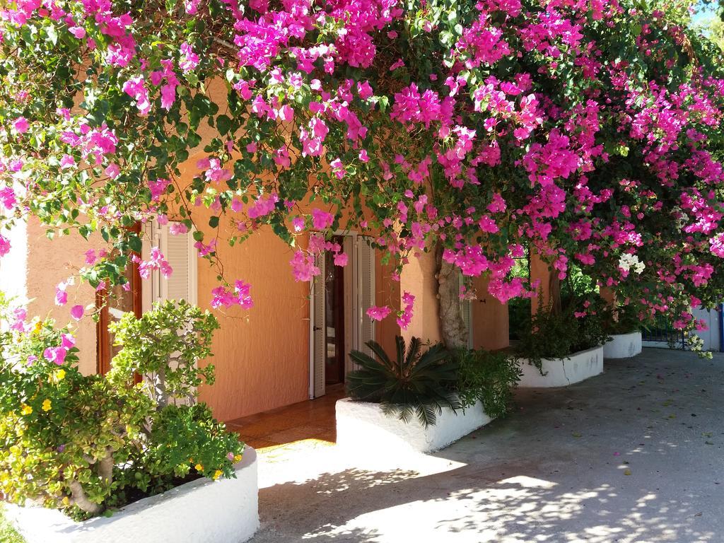 Constantinos * Lassi (Kefalonia)