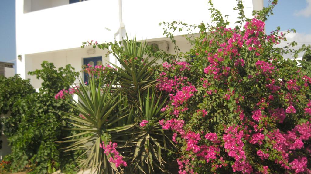 Apartment Aronis Naxos
