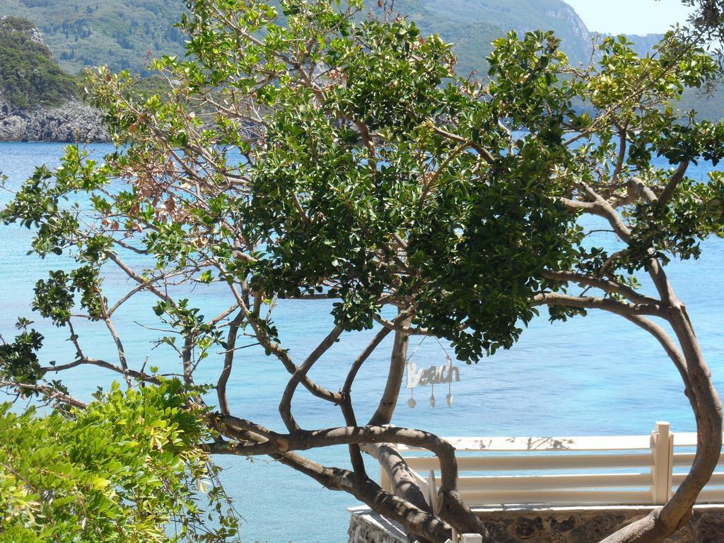 Kalypso Apartment Paleokastritsa