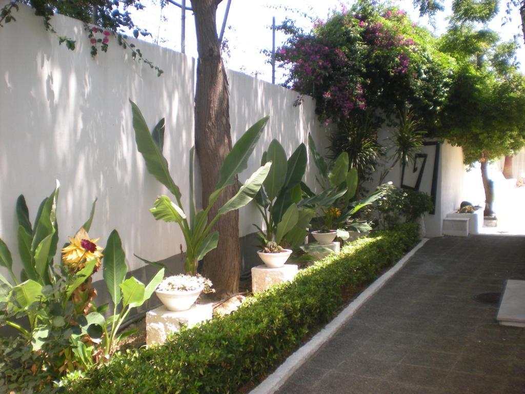 Manolis' House Aparthotel Skiathos Town