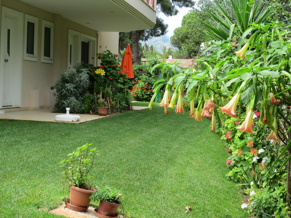 Verde Nea Makri