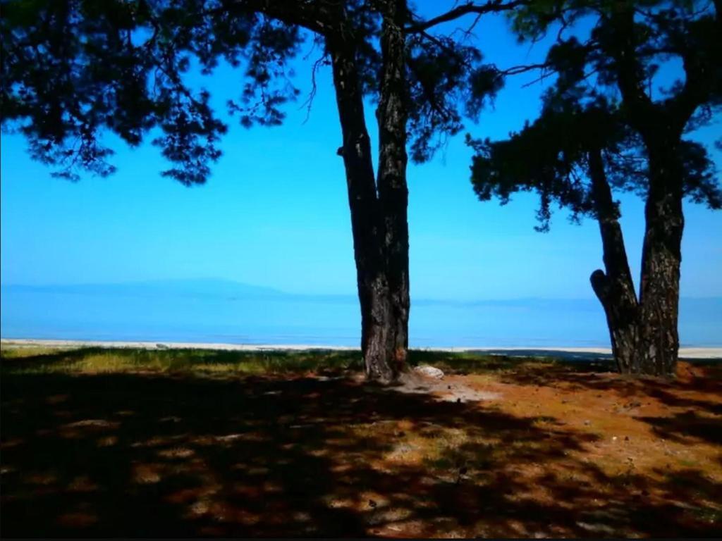 Aegean View Villa