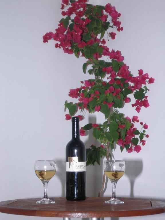 Apartment Anatoli *