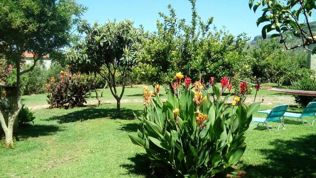 Stoupa's Paradise Holiday home *