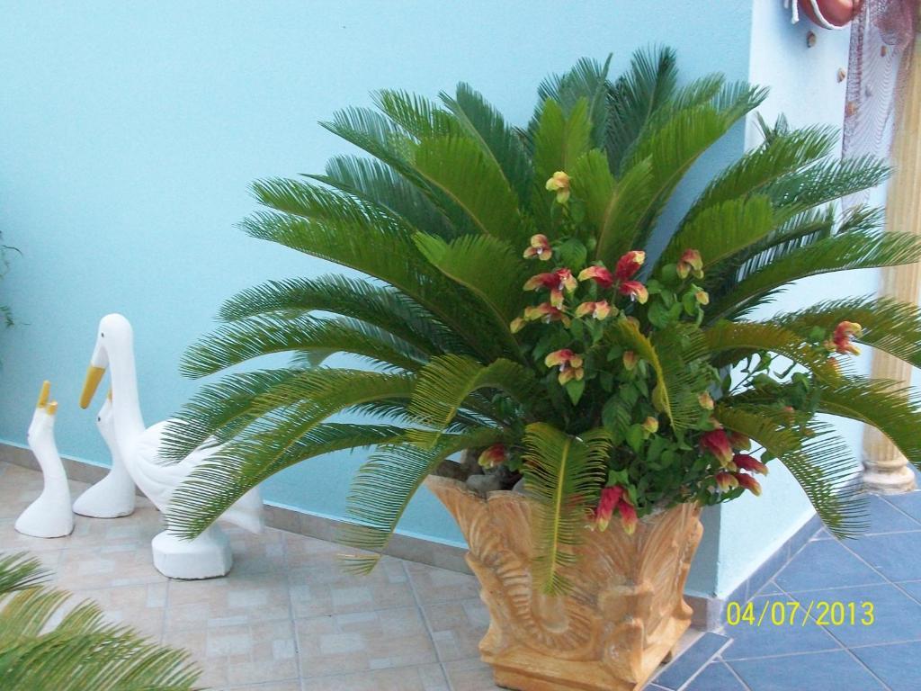 Spiros Hotel 3*