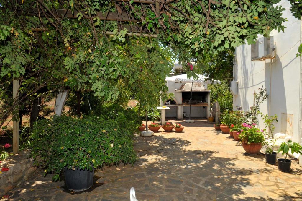 Sani Kasimis Apartment