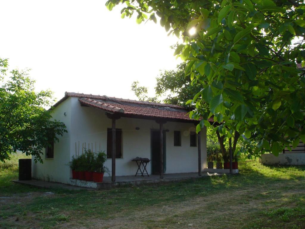 Mina Guest house