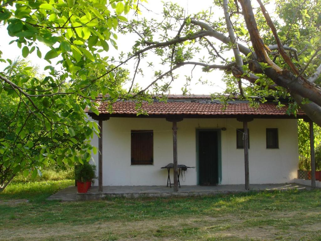 Mina Guest house *