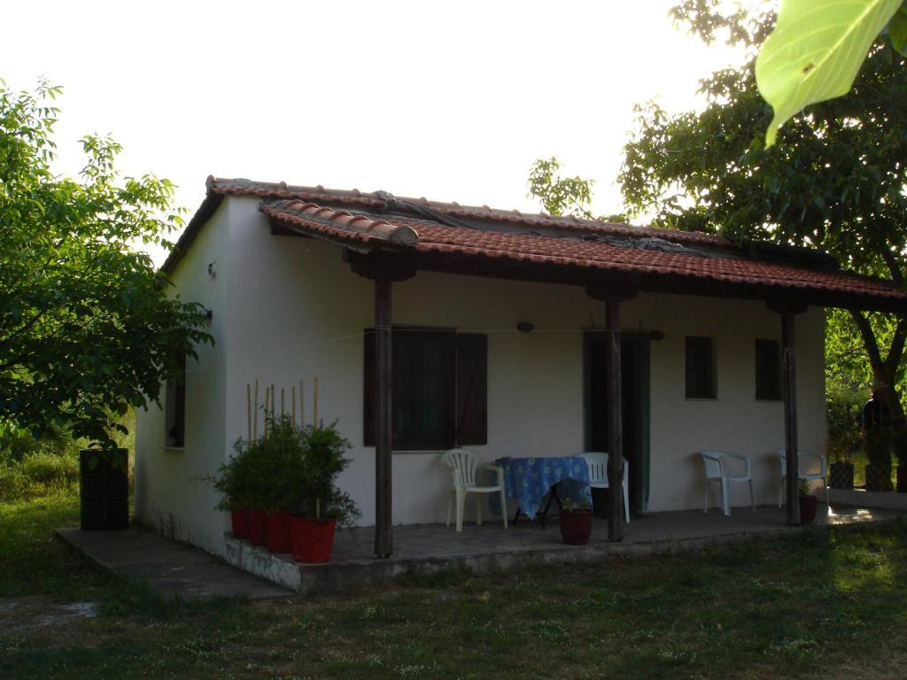 Mina Guest house