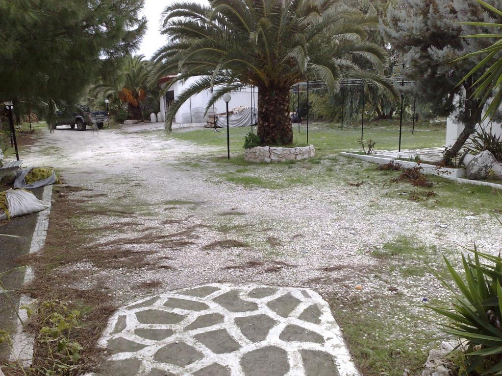 Pouloudia 2* Vatera