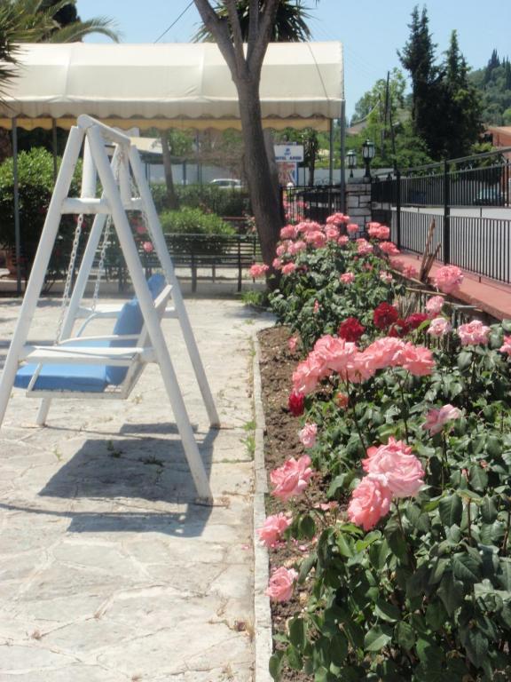 Argo * Perama (Corfu)