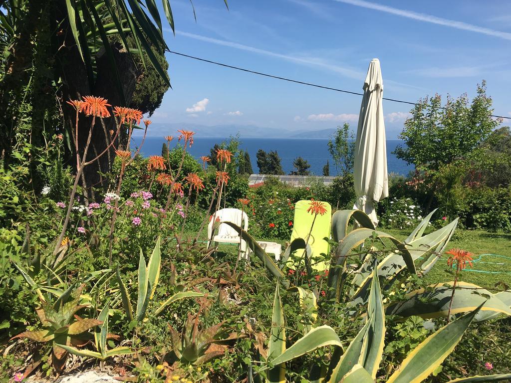 Vangelis Apartment
