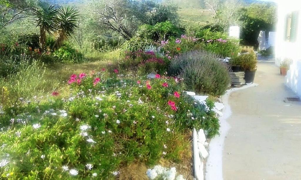 Avgoustis' Stone House Otzias