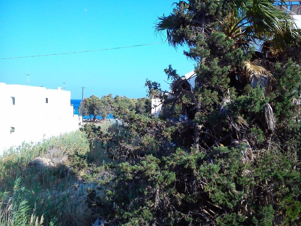 Apartment Studios Parian Blu *