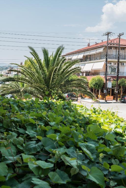 Hotel Alexandros 2*