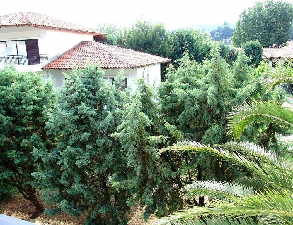 Daliakopoulou Apartment Possidi