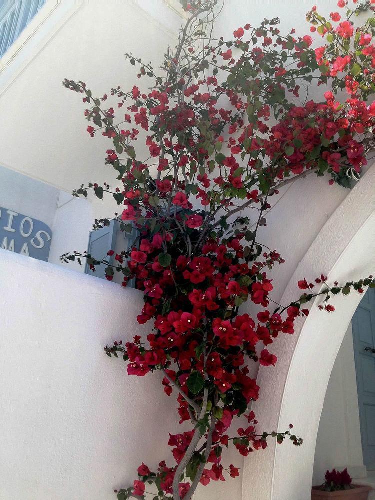 Aparthotel Sigma On The
