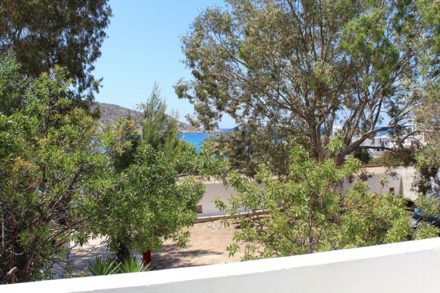 Purple Pig Stars Camping & Bungalows Hostel Mylopotas