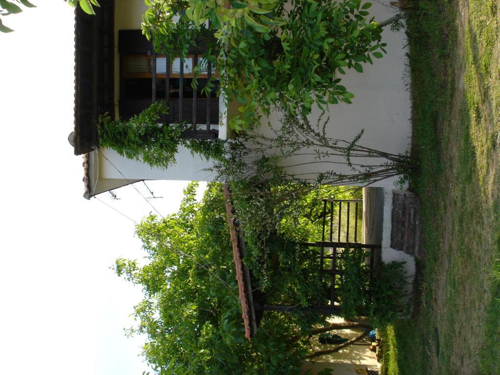 Mina Guest house