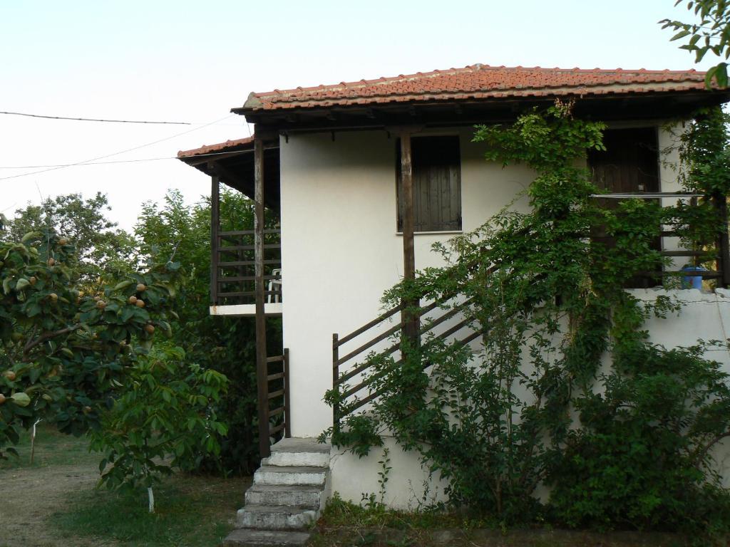 Mina Guest house *