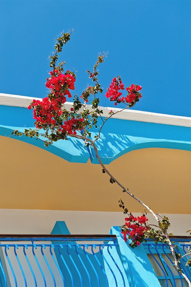 Pedi Hotel