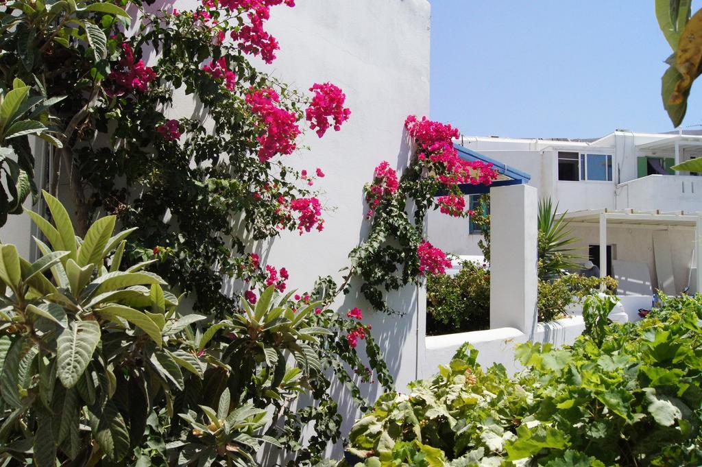 Angeliki's Parikia (Paros)