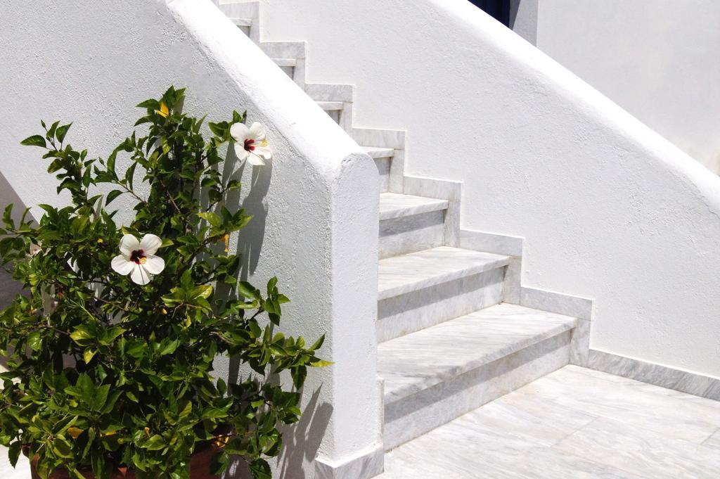 Guest house Angeliki's Parikia (Paros)