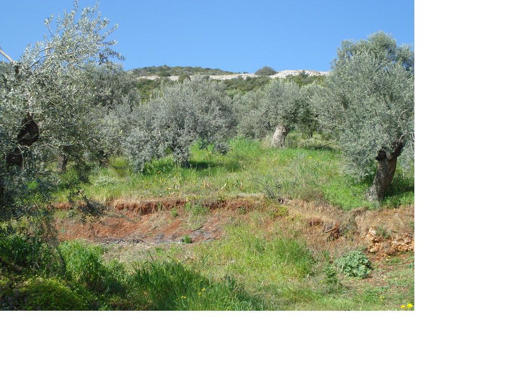 Athina Ecofarm Epidaurus