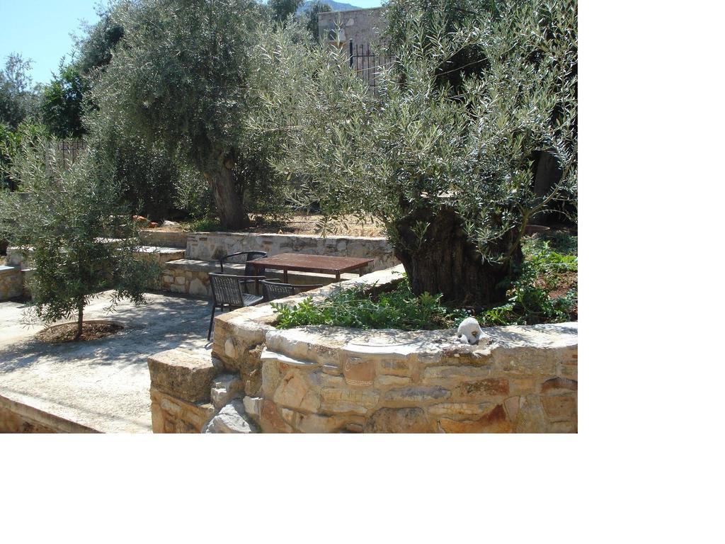 Apartment Athina Ecofarm