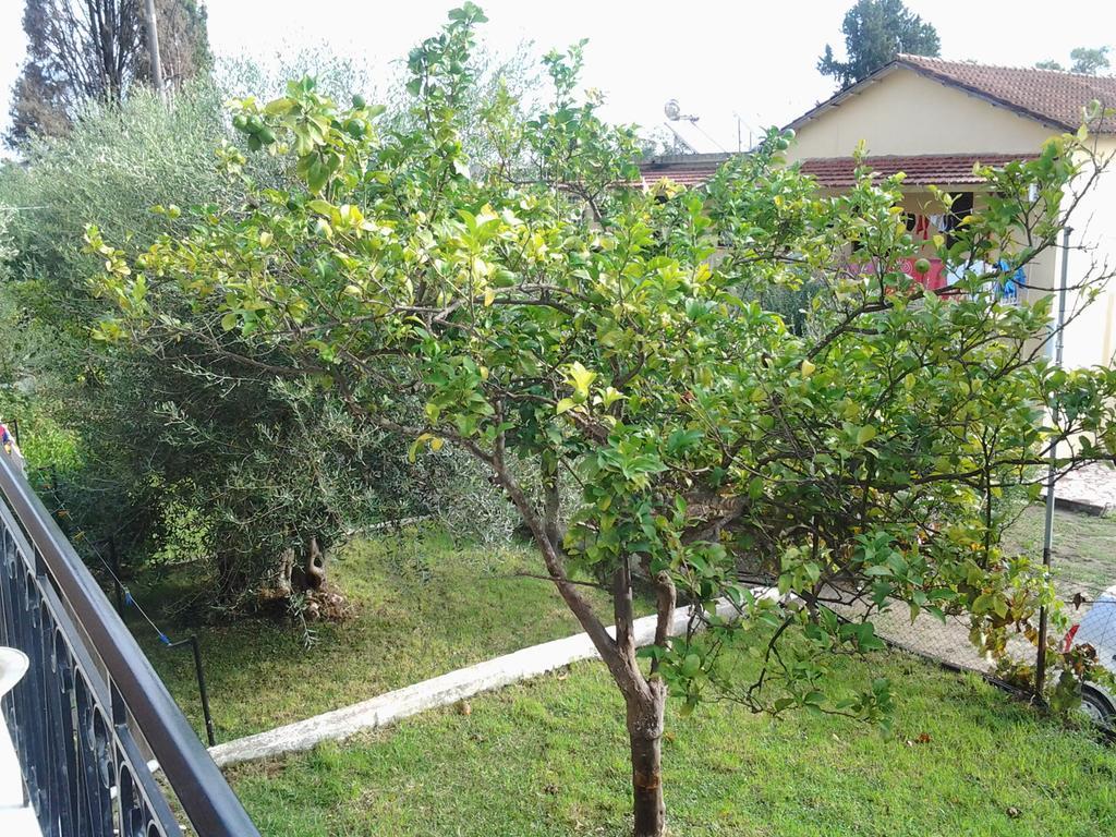 Passas Mare & Apartment
