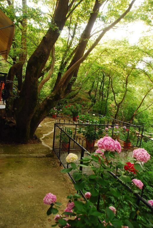 Tasoula Parselia Studios * Therma (Samothraki)