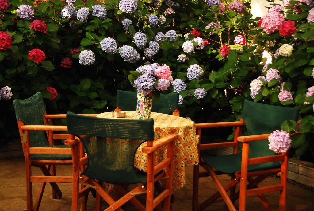 Tasoula Parselia Studios Therma (Samothraki)
