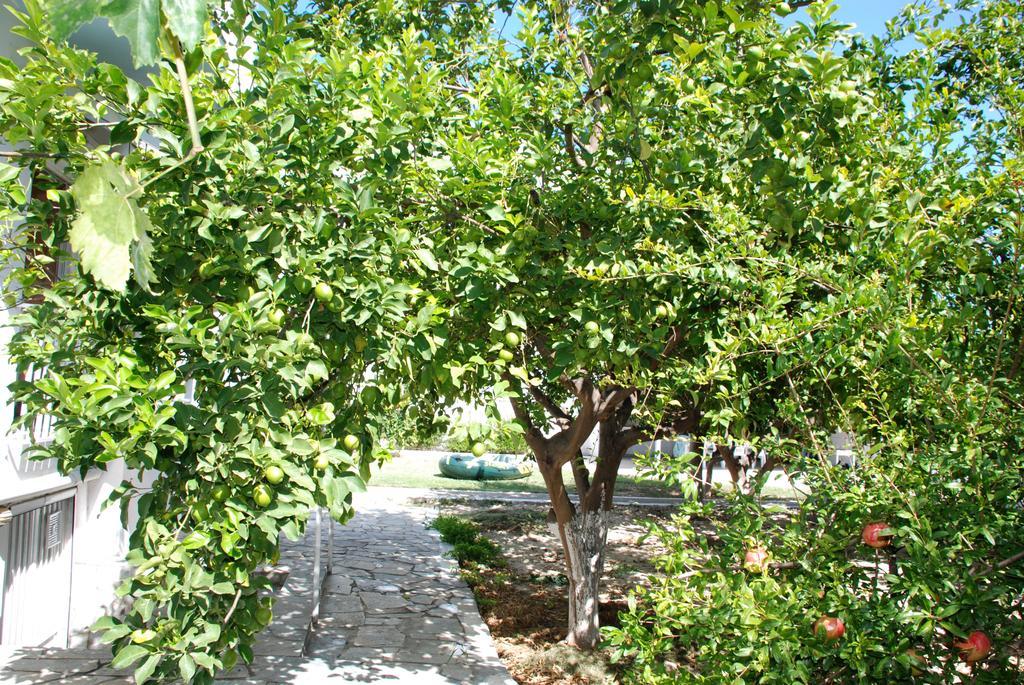 Kostas Family House Apartment