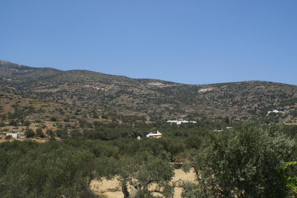 Apartment Antoniadis