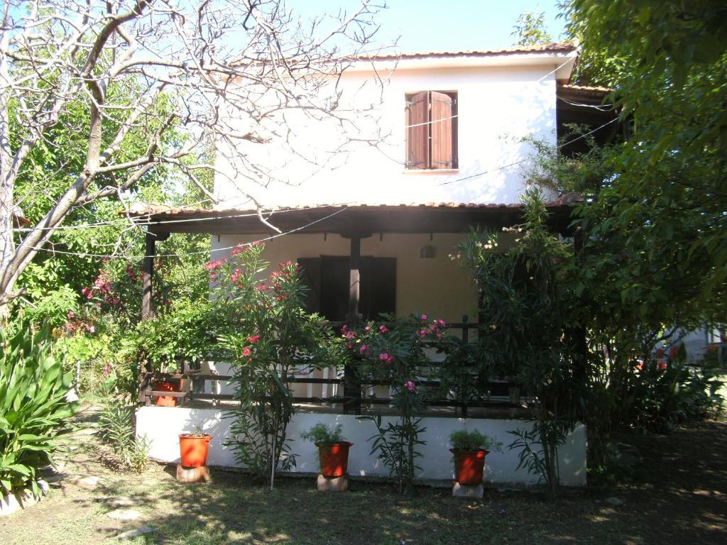 Mina Guest house *