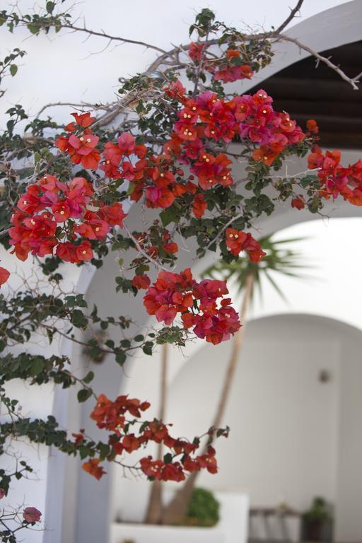Elisso's Philoxenia Aparthotel