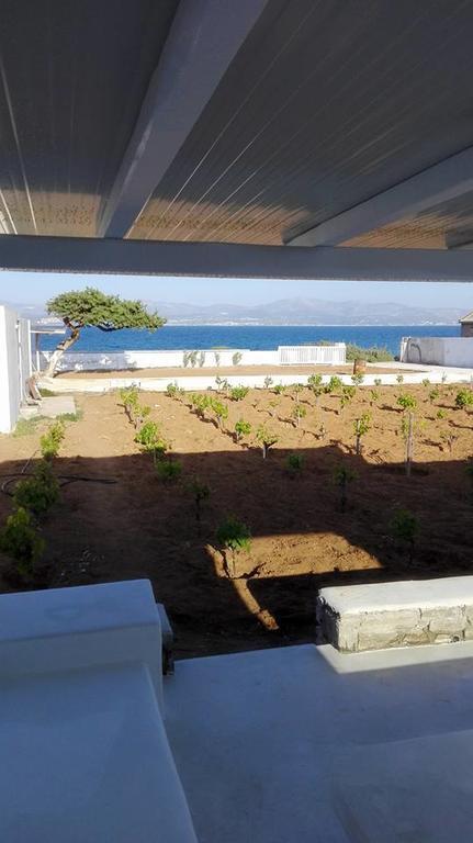 Ariakas Parikia (Paros)