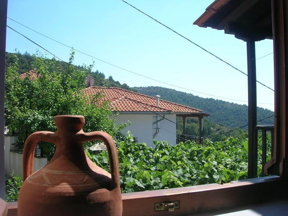 Country house Athina's House *