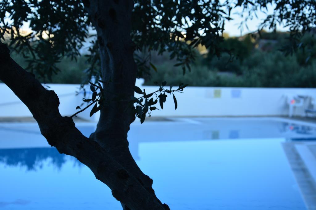 Primavera Paradise Aparthotel