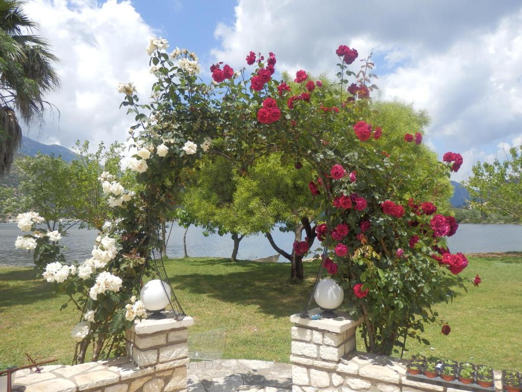 The Garden's