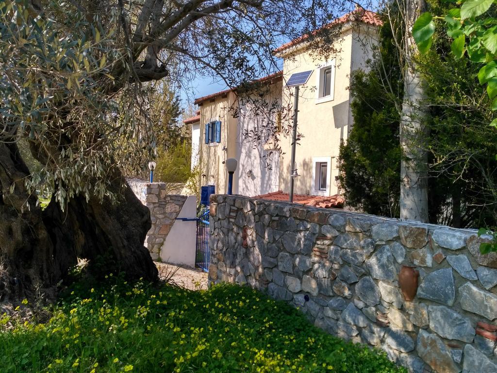 9 Musses Aparthotel Skala Mistegnon