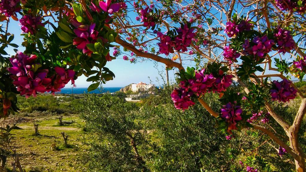 Evenos Of 3 Bedrooms - Irida Of 2 Bedrooms With Private Pools Holiday home *