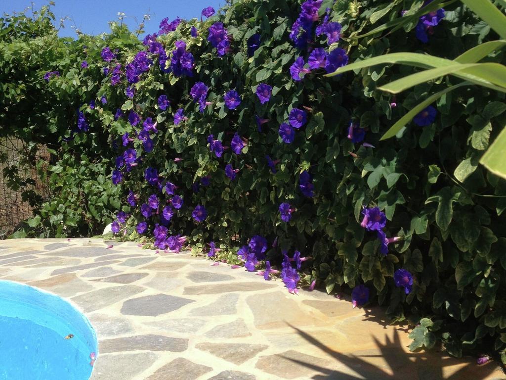 Sea-view In Near Rethymnon * Prines (Rethymno)