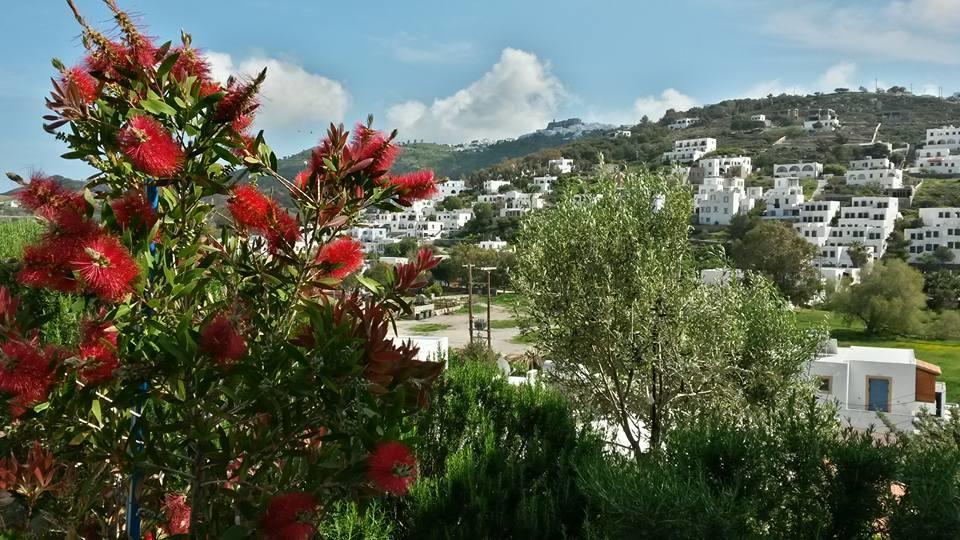 Yvonni Skala (Patmos)