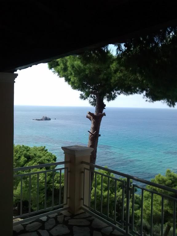Vicky's Panoramic View Apartment Pelekas