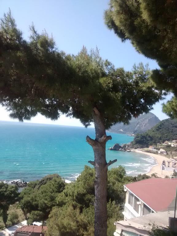 Vicky's Panoramic View *