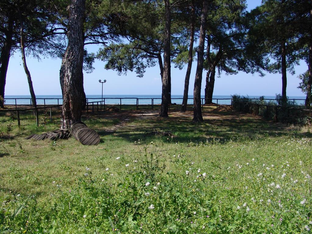 Aegean View Villa Limenas (Thasos)