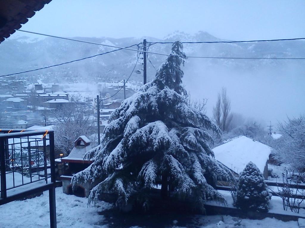 Asteras Tou Vorra
