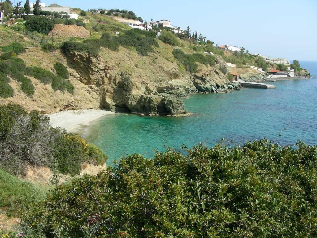 Zorbas Hotel & Apartments Apartment