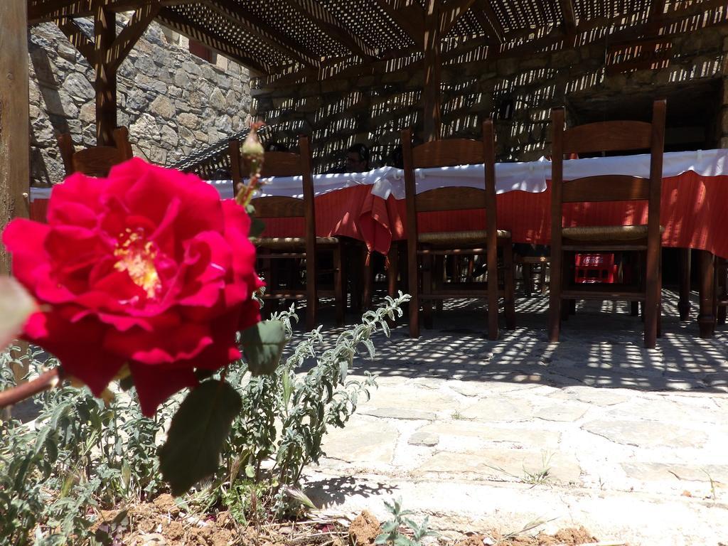 Arodamos * Krousonas (Crete)